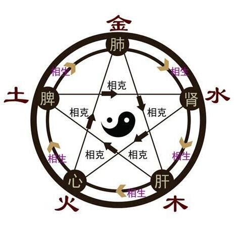 五行 木代表什麼